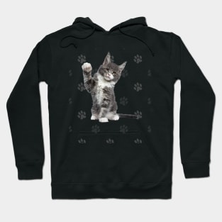 THE CAT LOVE Hoodie